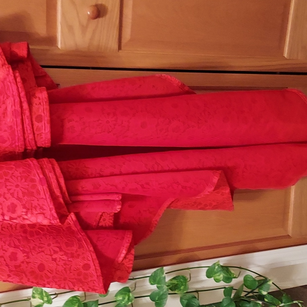 EIEN EUC Red Lace Dress - Picture 4 of 12